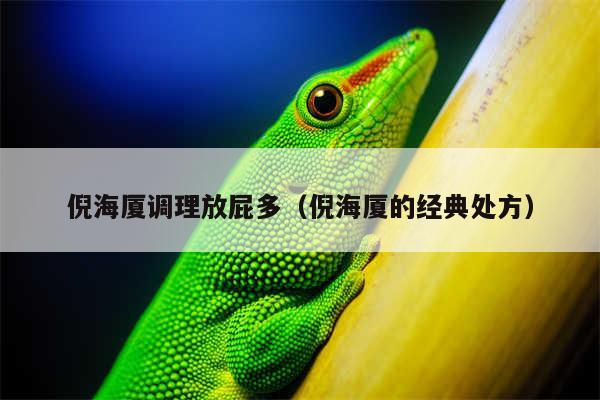 倪海厦调理放屁多（倪海厦的经典处方）