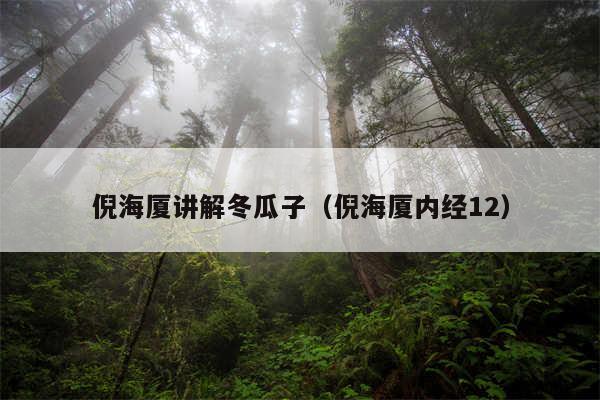 倪海厦讲解冬瓜子（倪海厦内经12）