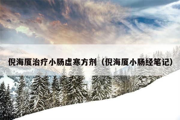 倪海厦治疗小肠虚寒方剂（倪海厦小肠经笔记）