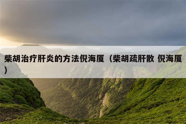 柴胡治疗肝炎的方法倪海厦（柴胡疏肝散 倪海厦）