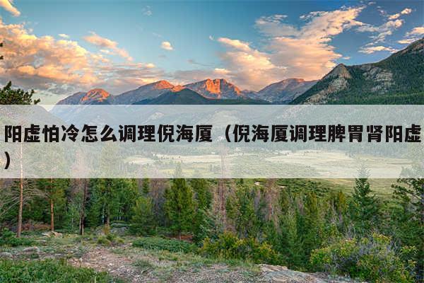 阳虚怕冷怎么调理倪海厦(倪海厦调理脾胃肾阳虚)