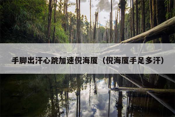 手脚出汗心跳加速倪海厦（倪海厦手足多汗）