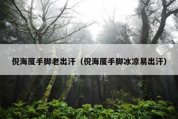 倪海厦手脚老出汗（倪海厦手脚冰凉易出汗）