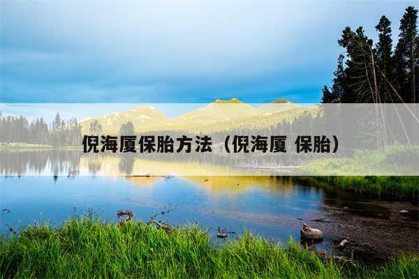 倪海厦保胎方法(倪海厦 保胎)