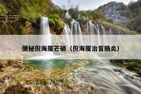 便秘倪海厦芒硝（倪海厦治盲肠炎）