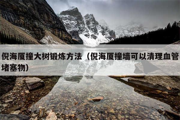 倪海厦撞大树锻炼方法(倪海厦撞墙可以清理血管堵塞物)