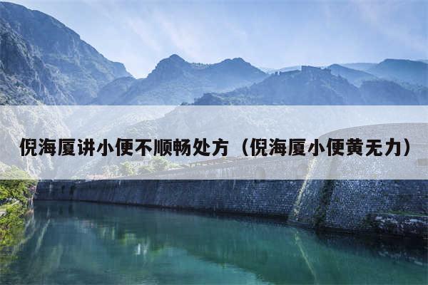 倪海厦讲小便不顺畅处方(倪海厦小便黄无力)