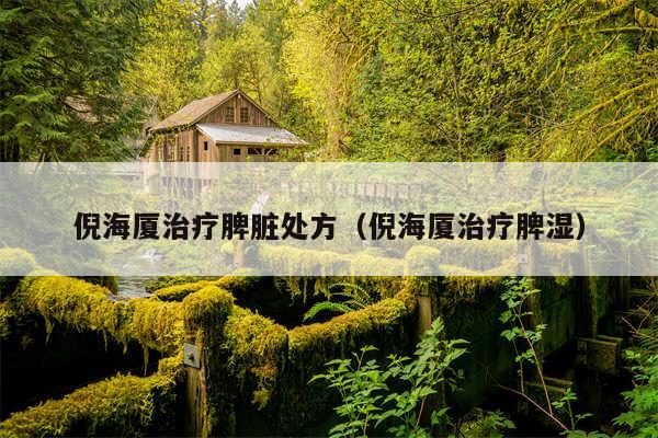 倪海厦治疗脾脏处方（倪海厦治疗脾湿）