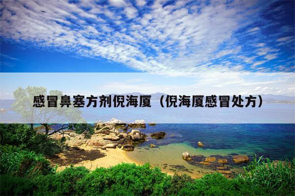 感冒鼻塞方剂倪海厦（倪海厦感冒处方）