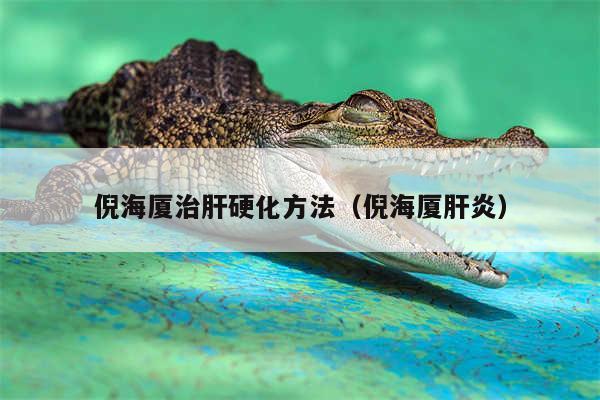 倪海厦治肝硬化方法（倪海厦肝炎）