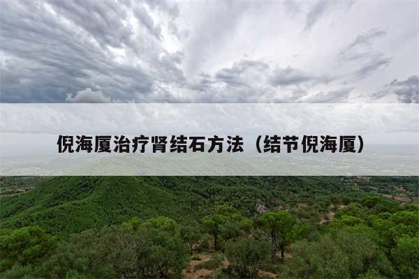 倪海厦治疗肾结石方法（结节倪海厦）