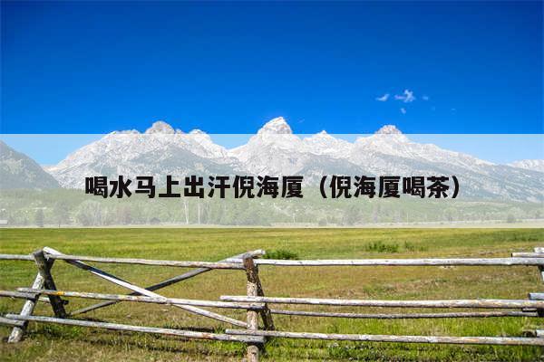 喝水马上出汗倪海厦（倪海厦喝茶）