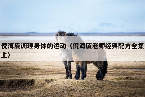 倪海厦调理身体的运动（倪海厦老师经典配方全集上）