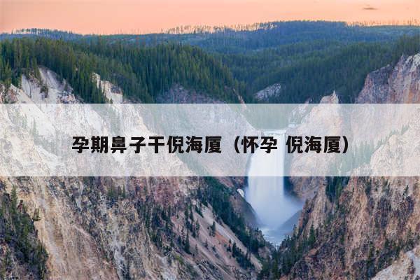 孕期鼻子干倪海厦(怀孕 倪海厦)