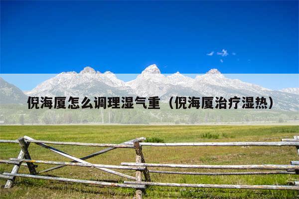 倪海厦怎么调理湿气重(倪海厦治疗湿热)