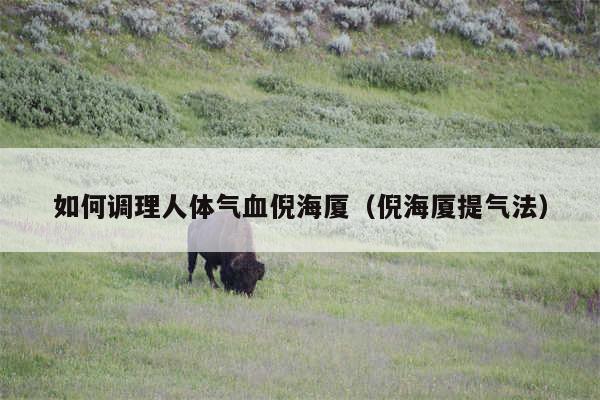 如何调理人体气血倪海厦(倪海厦提气法)