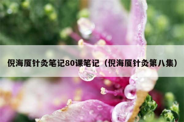 倪海厦针灸笔记80课笔记(倪海厦针灸第八集)