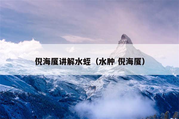 倪海厦讲解水蛭（水肿 倪海厦）