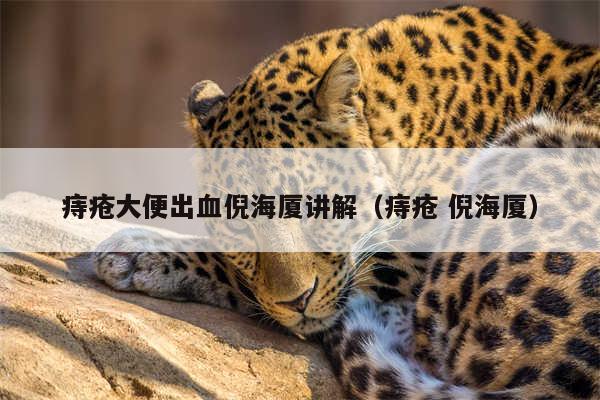 痔疮大便出血倪海厦讲解(痔疮 倪海厦)