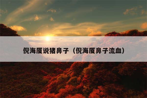 倪海厦说猪鼻子（倪海厦鼻子流血）