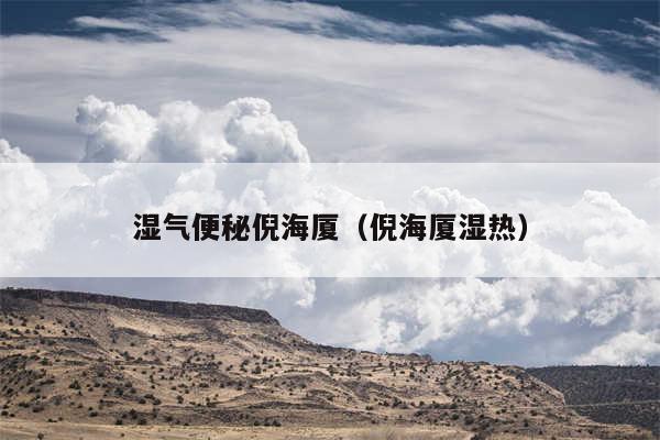 湿气便秘倪海厦(倪海厦湿热)