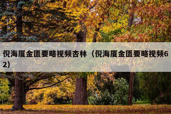 倪海厦金匮要略视频杏林(倪海厦金匮要略视频62)