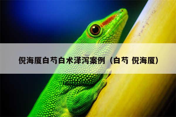 倪海厦白芍白术泽泻案例（白芍 倪海厦）