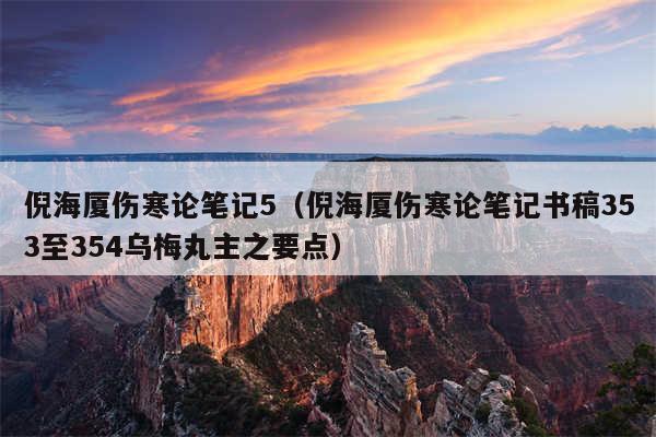 倪海厦伤寒论笔记5（倪海厦伤寒论笔记书稿353至354乌梅丸主之要点）
