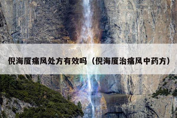 倪海厦痛风处方有效吗(倪海厦治痛风中药方)