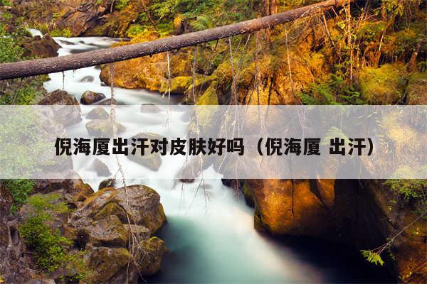 倪海厦出汗对皮肤好吗（倪海厦 出汗）