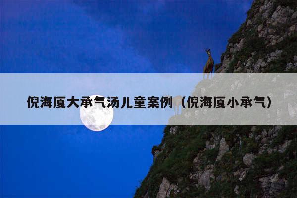 倪海厦大承气汤儿童案例（倪海厦小承气）