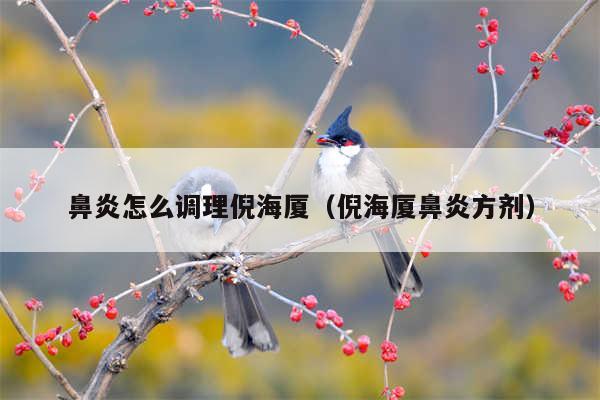 鼻炎怎么调理倪海厦（倪海厦鼻炎方剂）