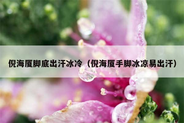 倪海厦脚底出汗冰冷（倪海厦手脚冰凉易出汗）