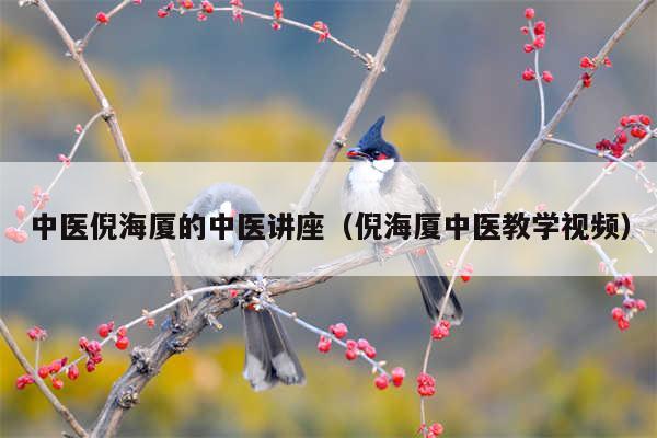 中医倪海厦的中医讲座（倪海厦中医教学视频）