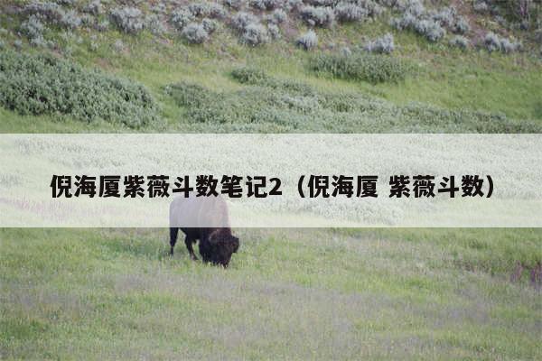 倪海厦紫薇斗数笔记2（倪海厦 紫薇斗数）