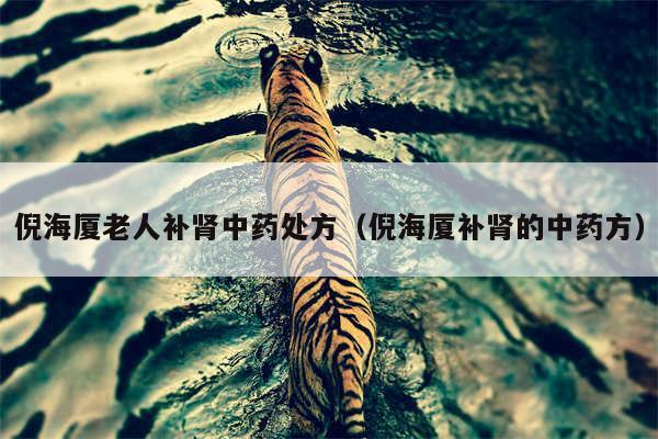 倪海厦老人补肾中药处方（倪海厦补肾的中药方）