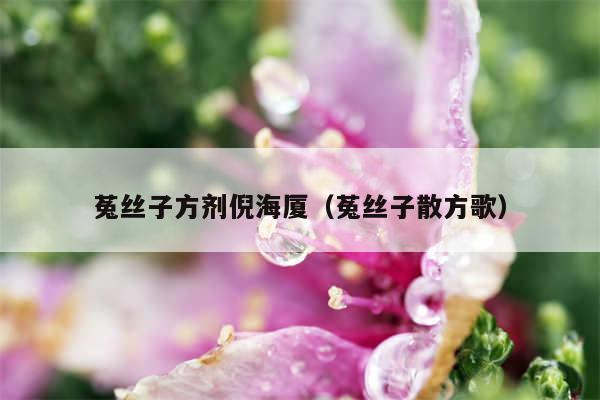 菟丝子方剂倪海厦（菟丝子散方歌）