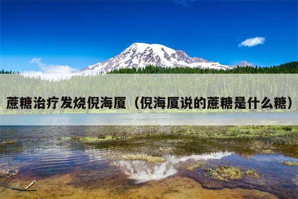 蔗糖治疗发烧倪海厦（倪海厦说的蔗糖是什么糖）