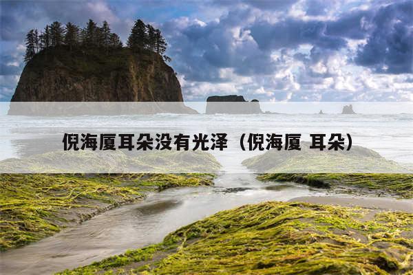 倪海厦耳朵没有光泽（倪海厦 耳朵）