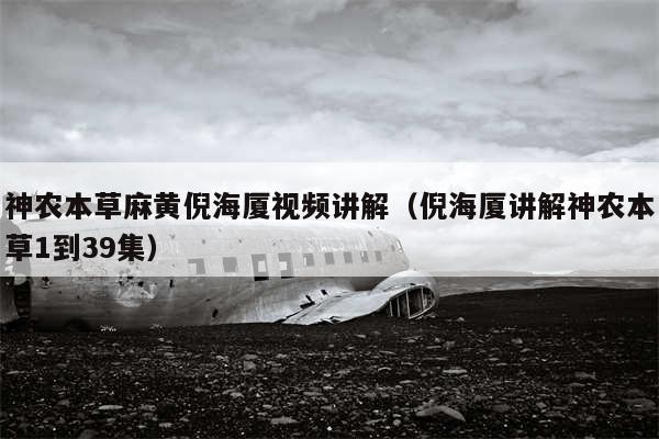 神农本草麻黄倪海厦视频讲解（倪海厦讲解神农本草1到39集）