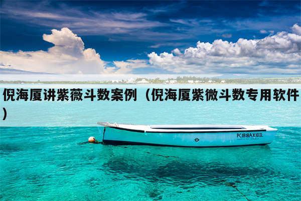 倪海厦讲紫薇斗数案例（倪海厦紫微斗数专用软件）