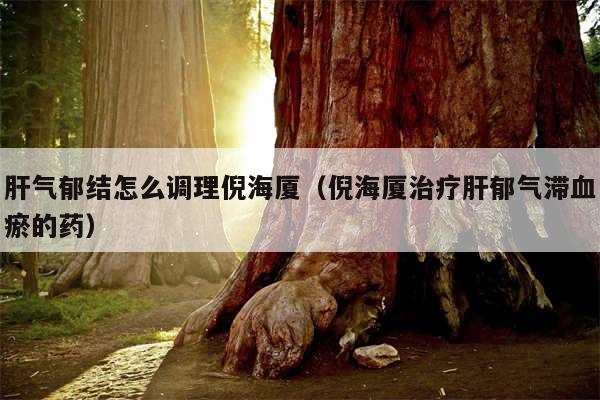 肝气郁结怎么调理倪海厦（倪海厦治疗肝郁气滞血瘀的药）