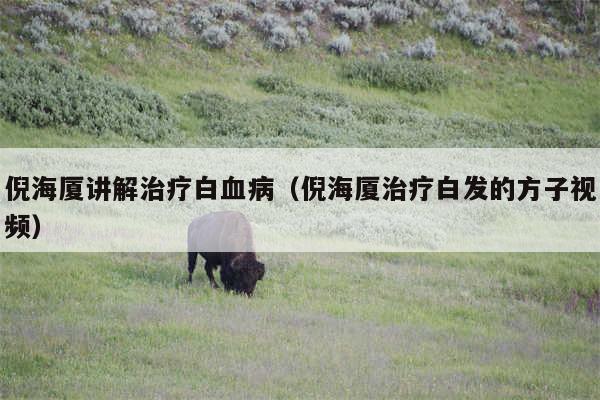 倪海厦讲解治疗白血病（倪海厦治疗白发的方子视频）