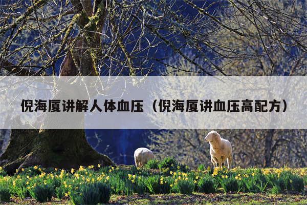 倪海厦讲解人体血压（倪海厦讲血压高配方）