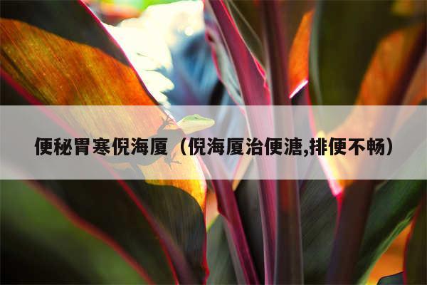 便秘胃寒倪海厦（倪海厦治便溏,排便不畅）