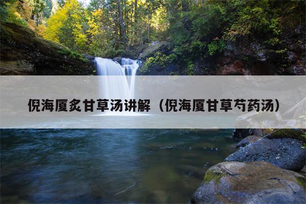 倪海厦炙甘草汤讲解（倪海厦甘草芍药汤）