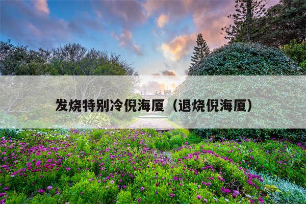 发烧特别冷倪海厦（退烧倪海厦）