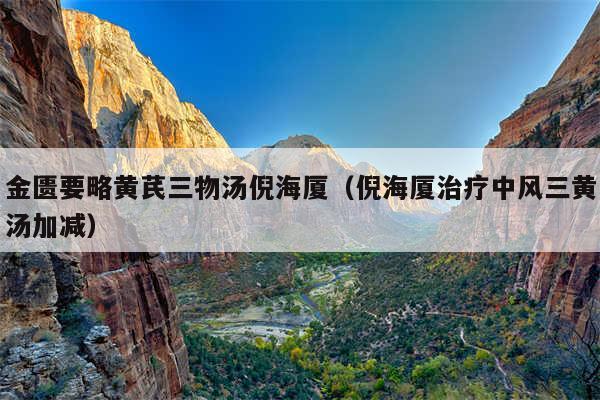 金匮要略黄芪三物汤倪海厦（倪海厦治疗中风三黄汤加减）