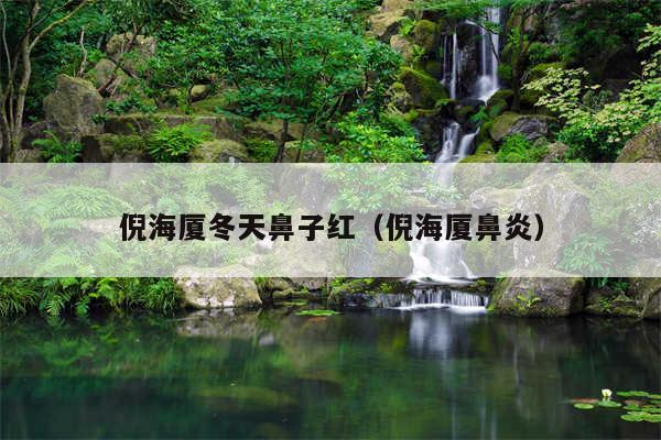 倪海厦冬天鼻子红（倪海厦鼻炎）