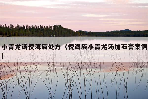 小青龙汤倪海厦处方（倪海厦小青龙汤加石膏案例）